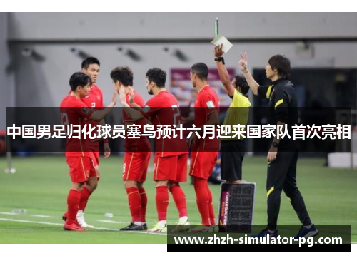 中国男足归化球员塞鸟预计六月迎来国家队首次亮相